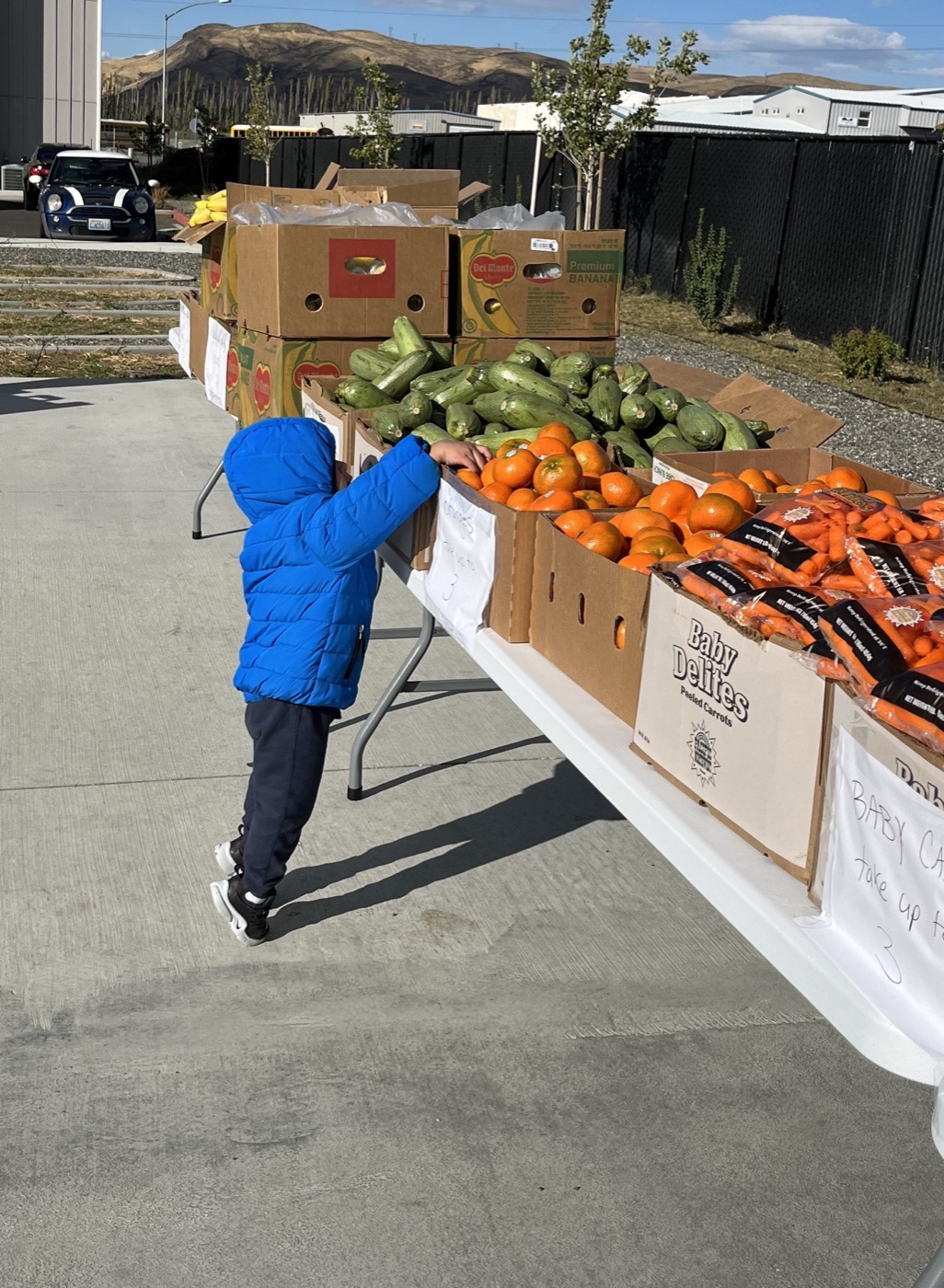 A young community member reaching for produce at a Cascadia pop-up distribution table