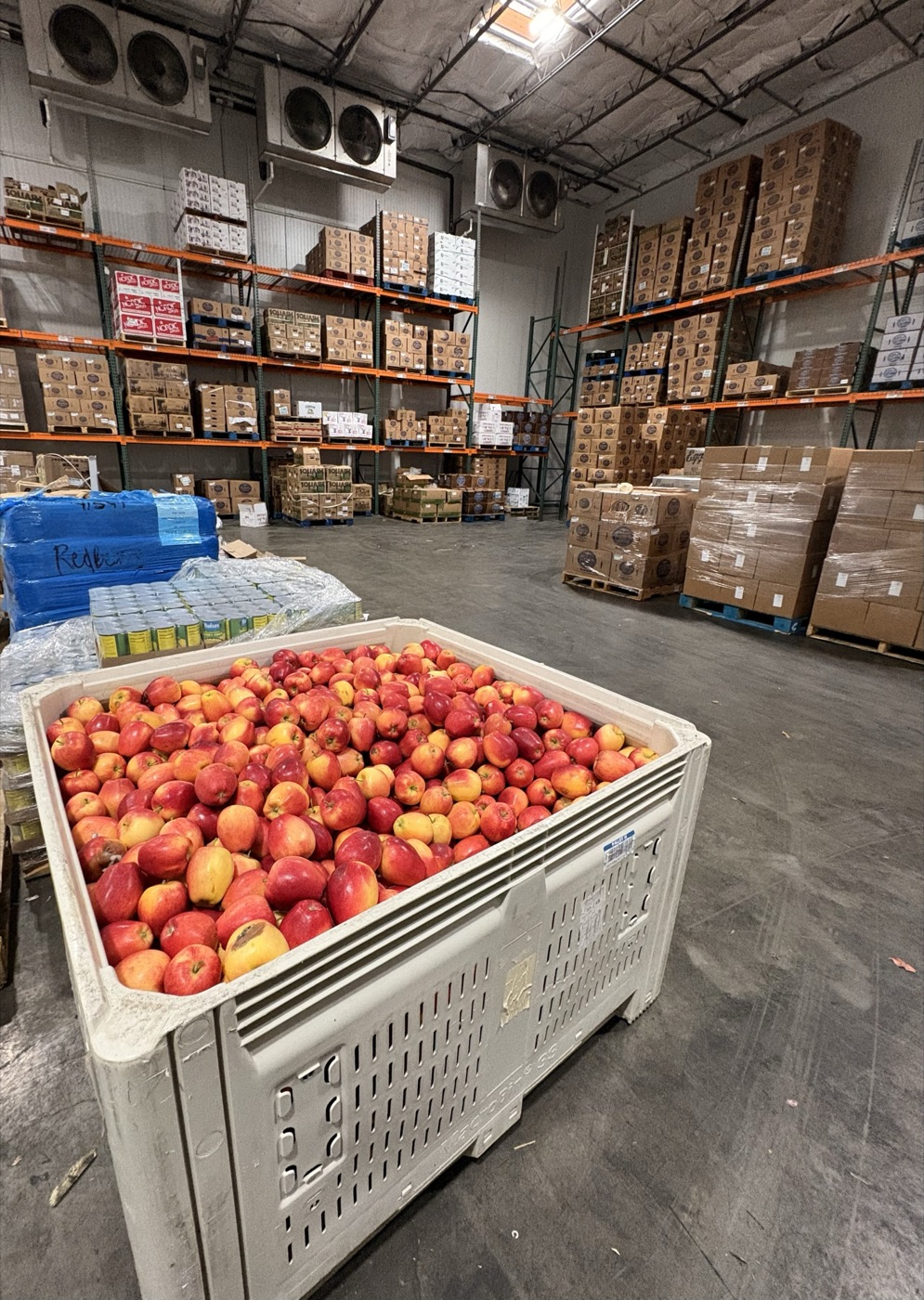 A bulk bin of fresh apples in Cascadia's cold-storage warehouse in Auburn